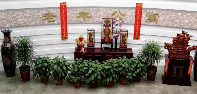 点击查看详细信息<br>标题：公寓活动 阅读次数：1244