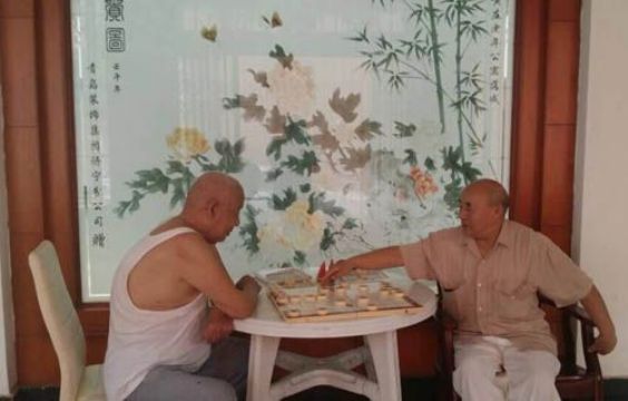 点击查看详细信息<br>标题：老人下象棋 阅读次数：1860